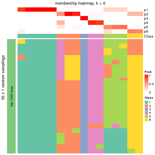 plot of chunk tab-node-014-membership-heatmap-5