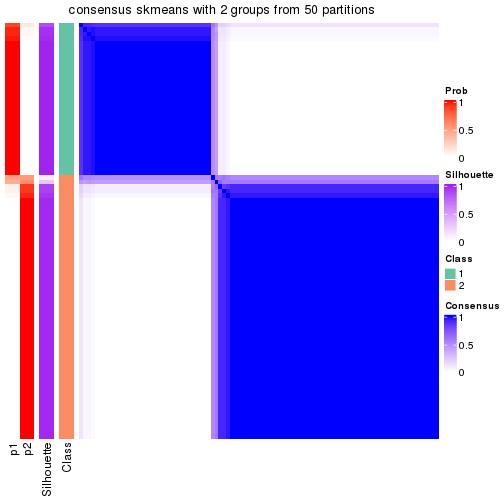 plot of chunk tab-node-02-consensus-heatmap-1