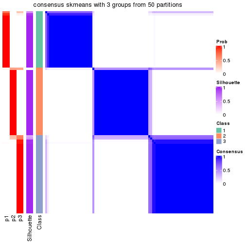 plot of chunk tab-node-02-consensus-heatmap-2