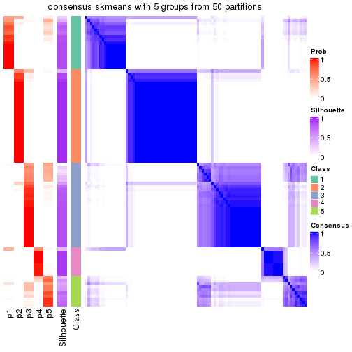 plot of chunk tab-node-02-consensus-heatmap-4