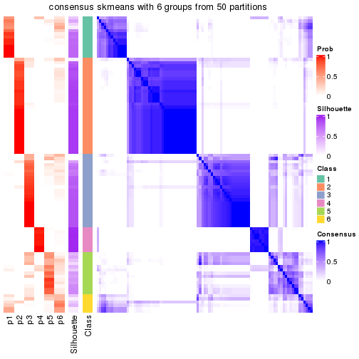 plot of chunk tab-node-02-consensus-heatmap-5