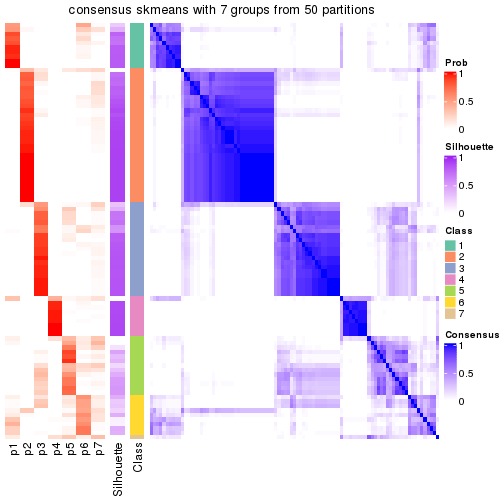 plot of chunk tab-node-02-consensus-heatmap-6