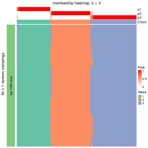 plot of chunk tab-node-02-membership-heatmap-2