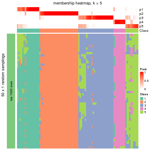 plot of chunk tab-node-02-membership-heatmap-4