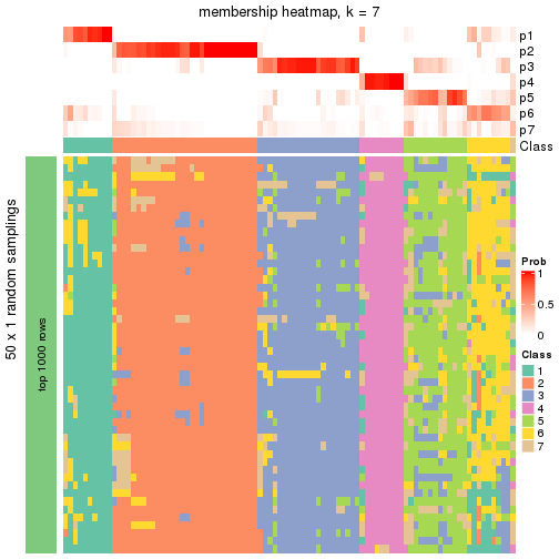 plot of chunk tab-node-02-membership-heatmap-6