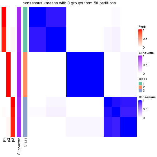 plot of chunk tab-node-021-consensus-heatmap-2