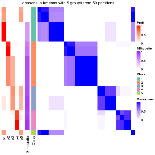 plot of chunk tab-node-021-consensus-heatmap-4