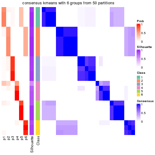 plot of chunk tab-node-021-consensus-heatmap-5