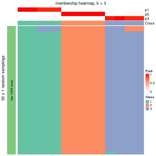 plot of chunk tab-node-021-membership-heatmap-2