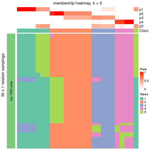 plot of chunk tab-node-021-membership-heatmap-4