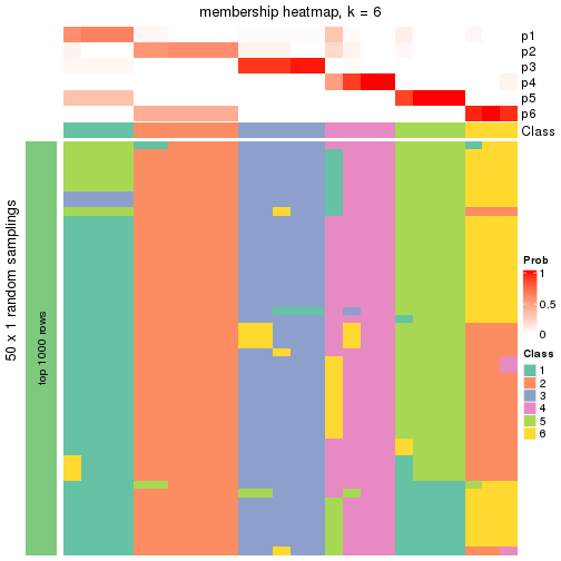 plot of chunk tab-node-021-membership-heatmap-5