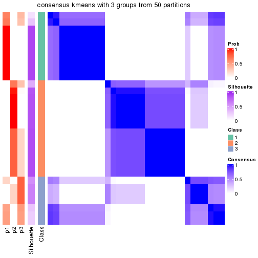 plot of chunk tab-node-022-consensus-heatmap-2