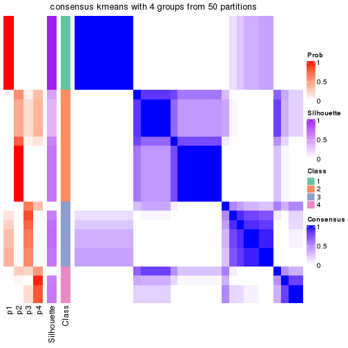 plot of chunk tab-node-022-consensus-heatmap-3