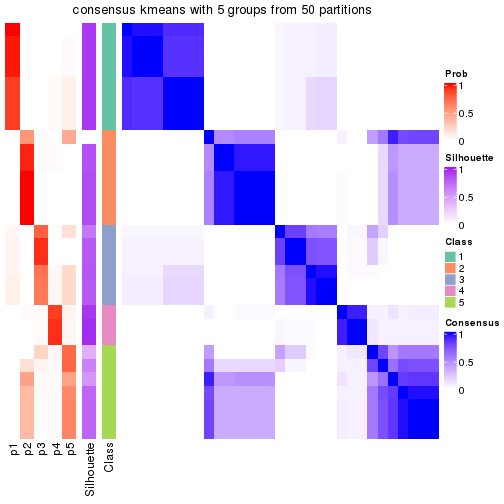 plot of chunk tab-node-022-consensus-heatmap-4