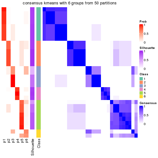 plot of chunk tab-node-022-consensus-heatmap-5