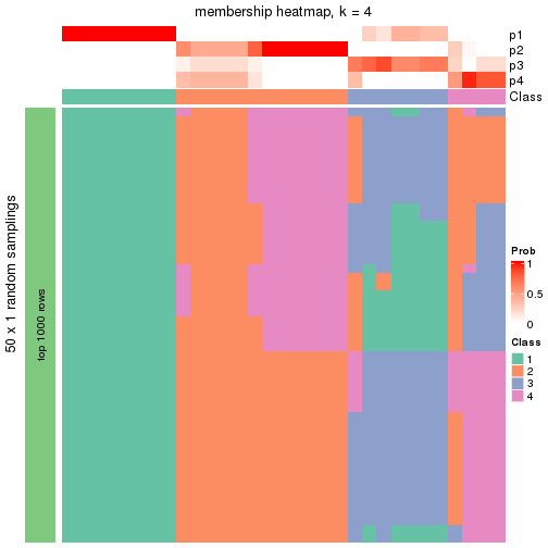 plot of chunk tab-node-022-membership-heatmap-3