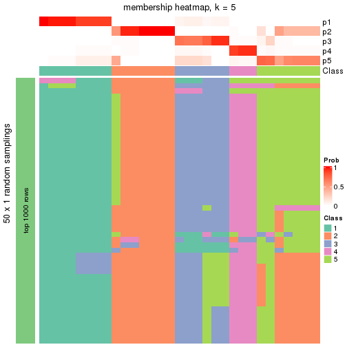 plot of chunk tab-node-022-membership-heatmap-4