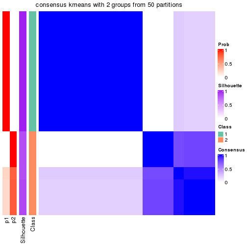 plot of chunk tab-node-0222-consensus-heatmap-1