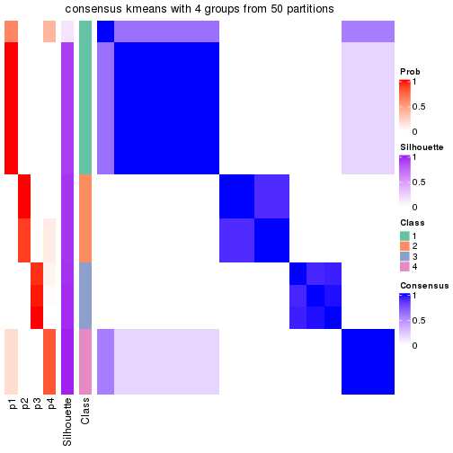 plot of chunk tab-node-0222-consensus-heatmap-3