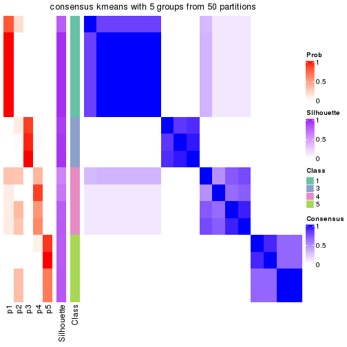 plot of chunk tab-node-0222-consensus-heatmap-4