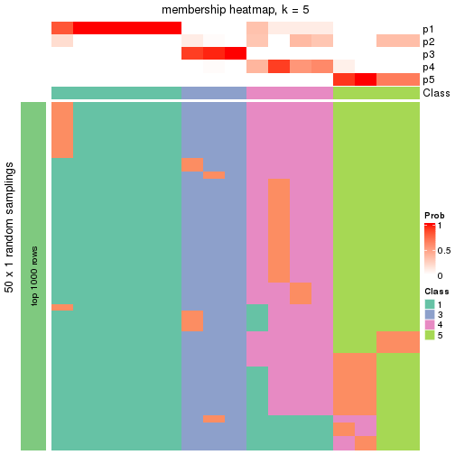 plot of chunk tab-node-0222-membership-heatmap-4