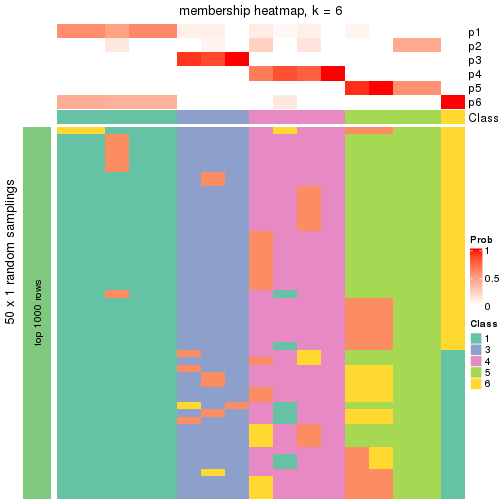 plot of chunk tab-node-0222-membership-heatmap-5