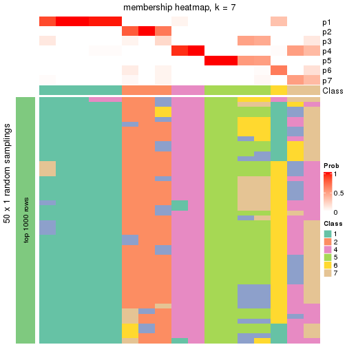 plot of chunk tab-node-0222-membership-heatmap-6