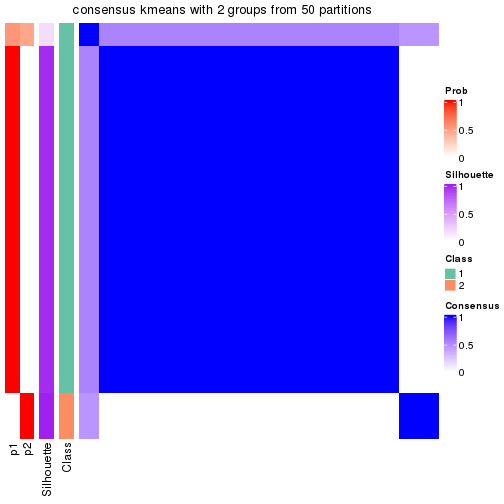 plot of chunk tab-node-023-consensus-heatmap-1