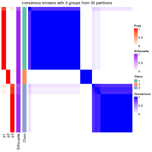 plot of chunk tab-node-023-consensus-heatmap-2