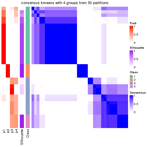 plot of chunk tab-node-023-consensus-heatmap-3