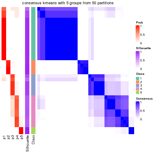 plot of chunk tab-node-023-consensus-heatmap-4