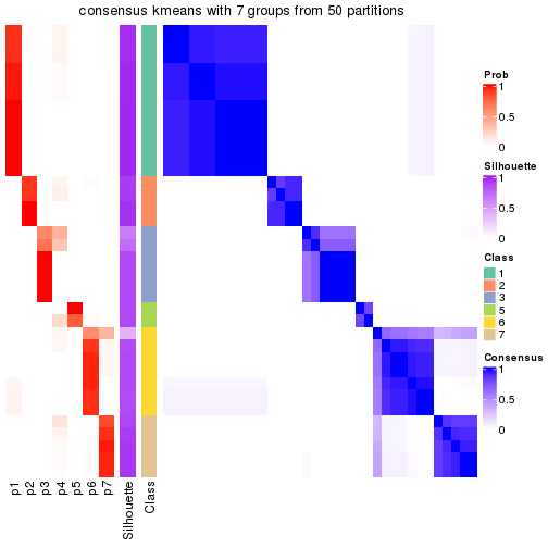 plot of chunk tab-node-023-consensus-heatmap-6