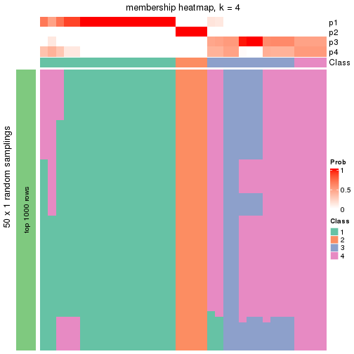 plot of chunk tab-node-023-membership-heatmap-3