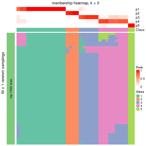 plot of chunk tab-node-023-membership-heatmap-4