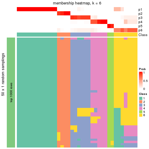 plot of chunk tab-node-023-membership-heatmap-5