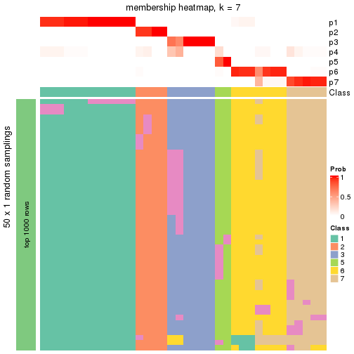 plot of chunk tab-node-023-membership-heatmap-6