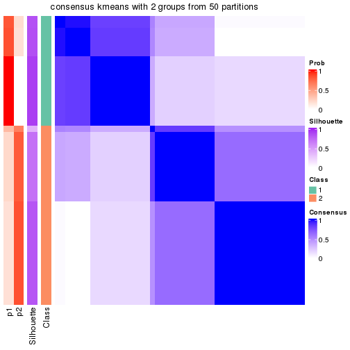 plot of chunk tab-node-03-consensus-heatmap-1