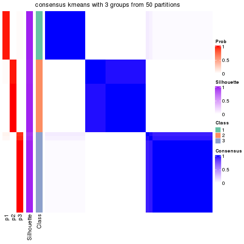 plot of chunk tab-node-03-consensus-heatmap-2