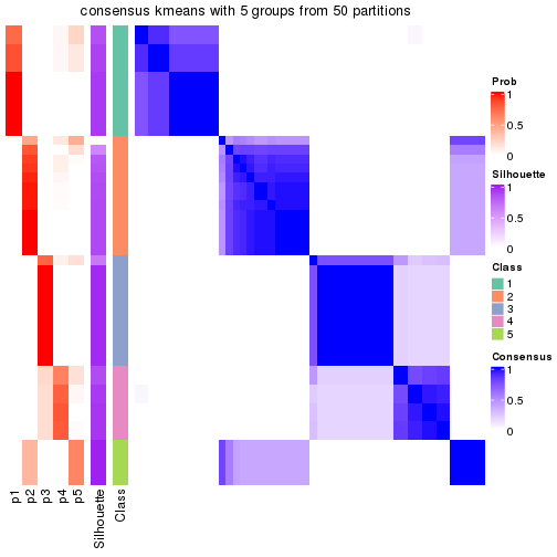 plot of chunk tab-node-03-consensus-heatmap-4