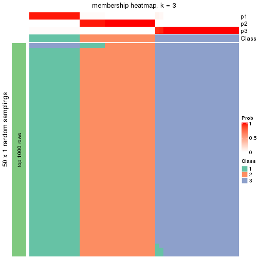 plot of chunk tab-node-03-membership-heatmap-2