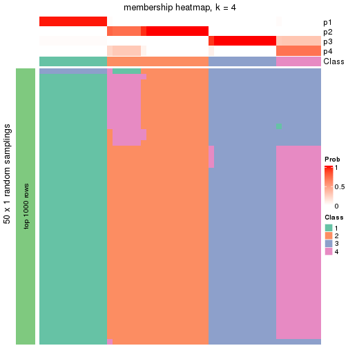 plot of chunk tab-node-03-membership-heatmap-3