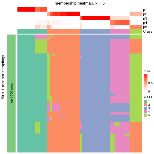 plot of chunk tab-node-03-membership-heatmap-4