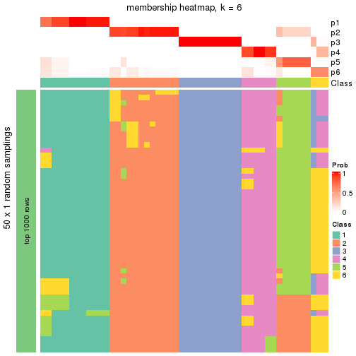 plot of chunk tab-node-03-membership-heatmap-5