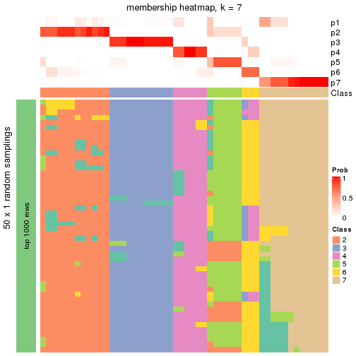 plot of chunk tab-node-03-membership-heatmap-6