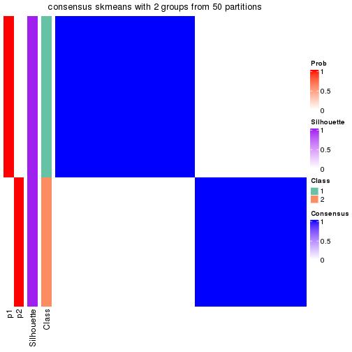 plot of chunk tab-node-032-consensus-heatmap-1