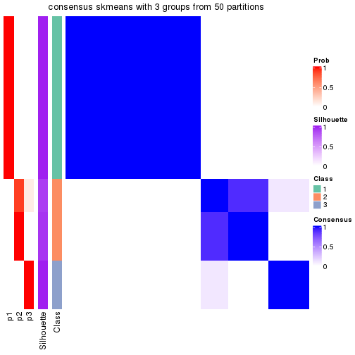 plot of chunk tab-node-032-consensus-heatmap-2