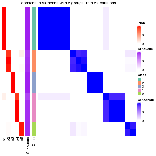 plot of chunk tab-node-032-consensus-heatmap-4