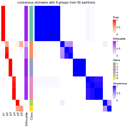 plot of chunk tab-node-032-consensus-heatmap-5