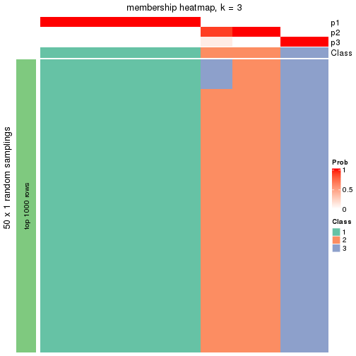 plot of chunk tab-node-032-membership-heatmap-2