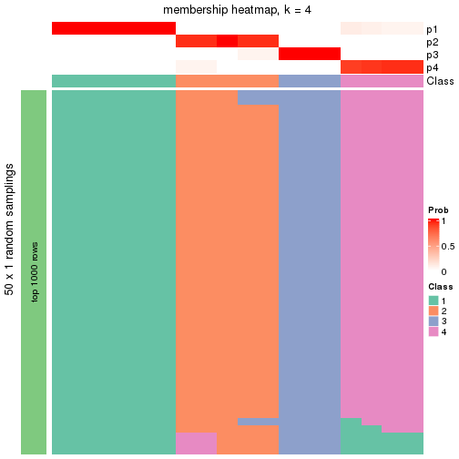 plot of chunk tab-node-032-membership-heatmap-3